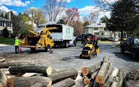 Best Arborist Consultation Services  in Pomona Park, FL